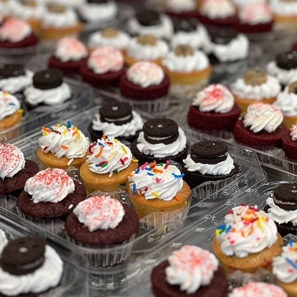 CAMP - Fun Mini Cupcakes - Packed 12